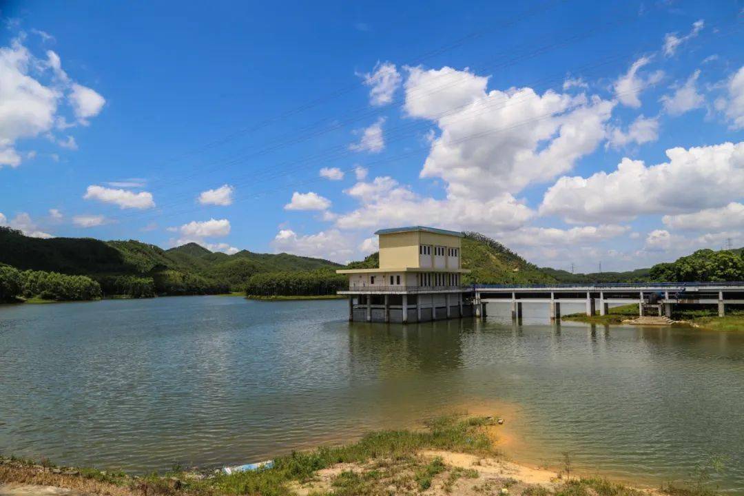 这家生态农场要逆天了▎原生态养殖农场优质水库鱼食到笑哈哈