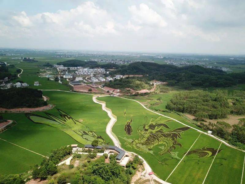 南宁市乡村道路"十大最美风光线 活动即将启动!