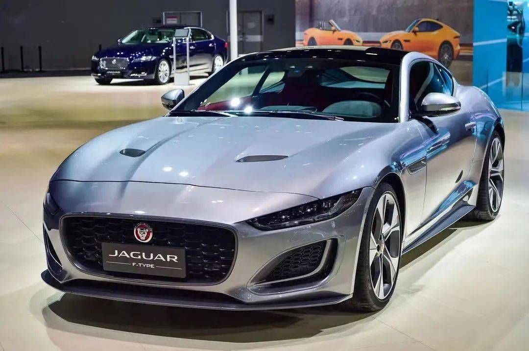 虎豹聚粤共襄盛事