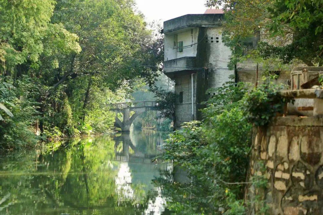 村居蝶变顺德勒流江村村改推进进行时重现岭南水乡的美景