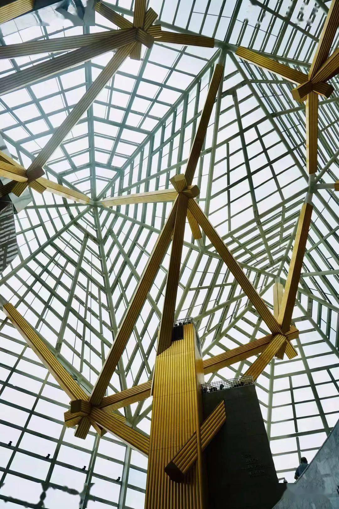 结构一大波树形柱来袭