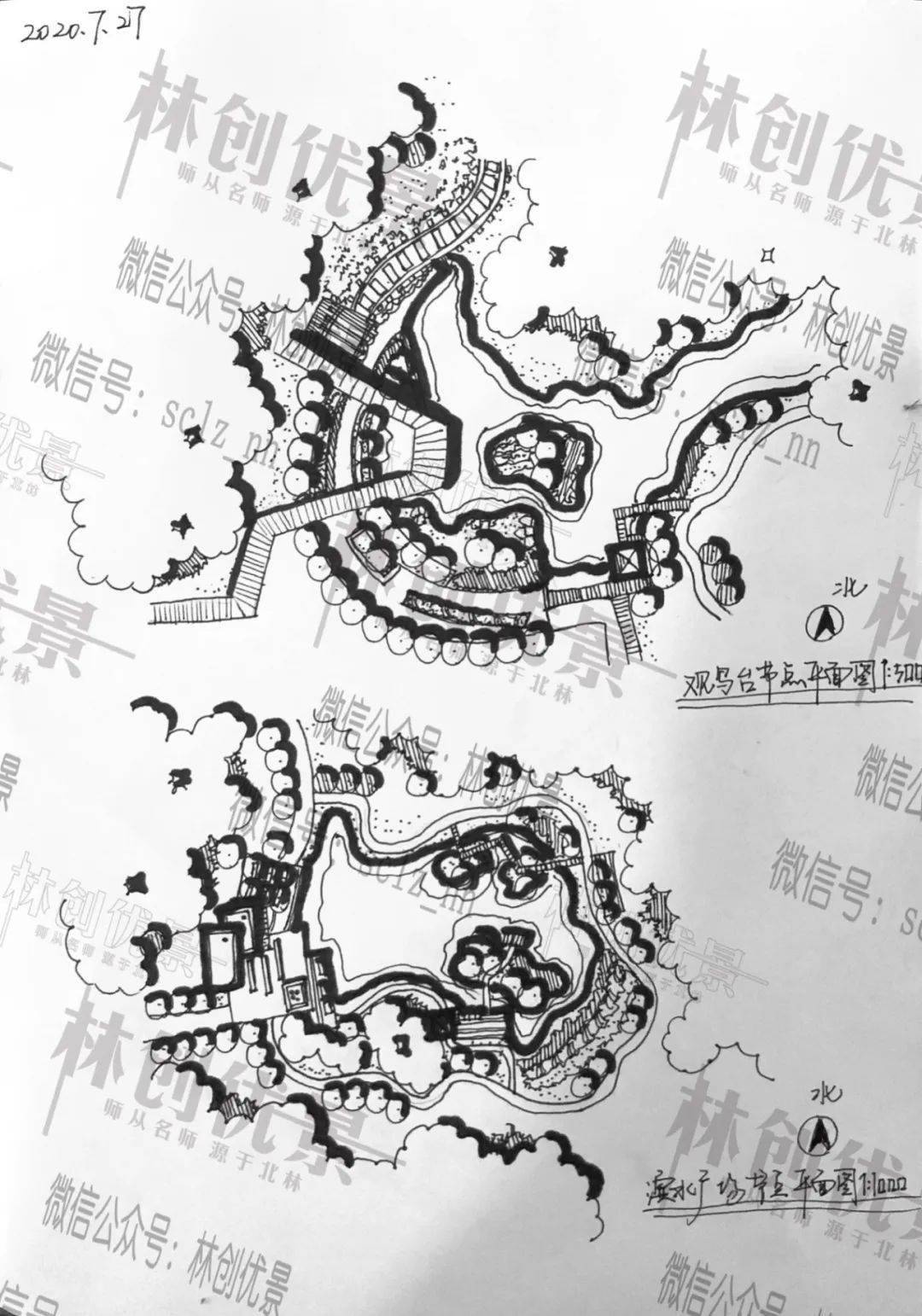 每日一画跟着林创画节点day514滨水湿地
