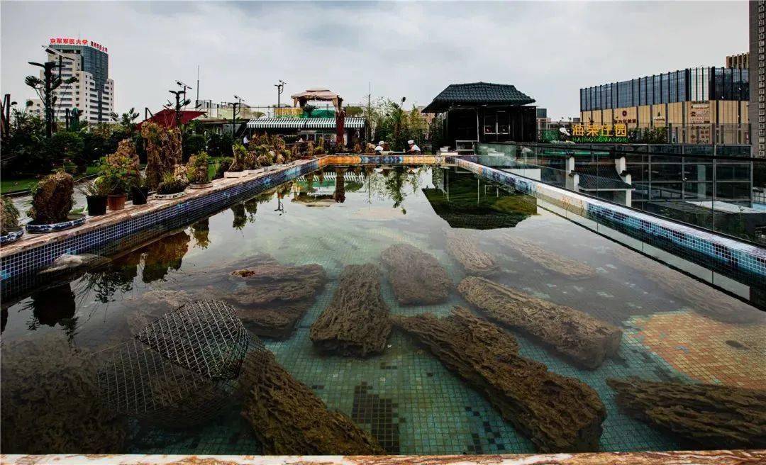 9起抢轻风水魔方特惠门票:30000平方超大规模_温泉