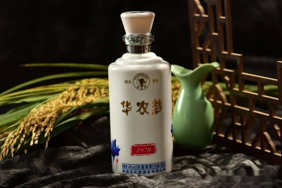 "华农妹"升级"华农梦" 传承朱湖大地情怀