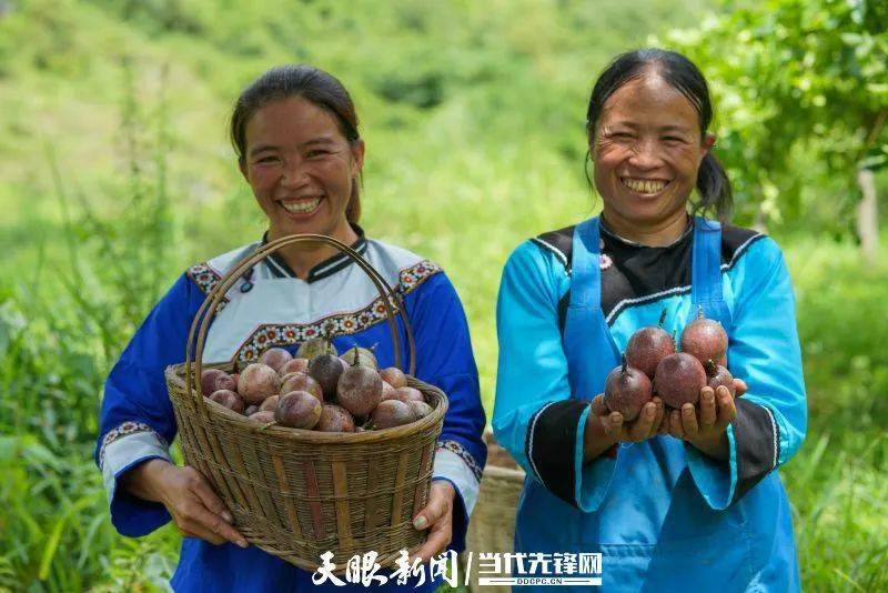 一步跨千年!贵州省66个贫困县全部脱贫摘帽