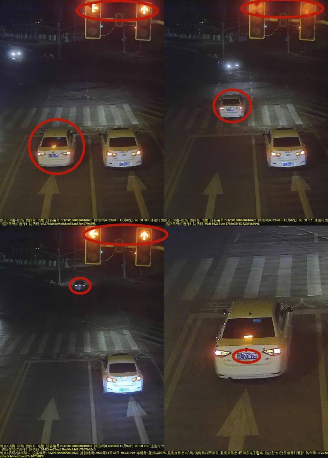 滨海-机场【车牌号码】:云lzd675【违法行为】:违反道路交通信号灯