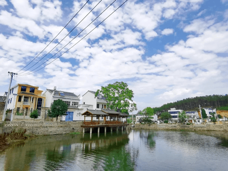 乡村振兴唤醒武汉"最后的小镇"——新洲区凤凰镇