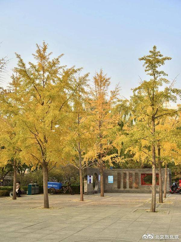 东花市街道黄昏美景