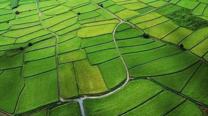 土地开发整理的三种类型