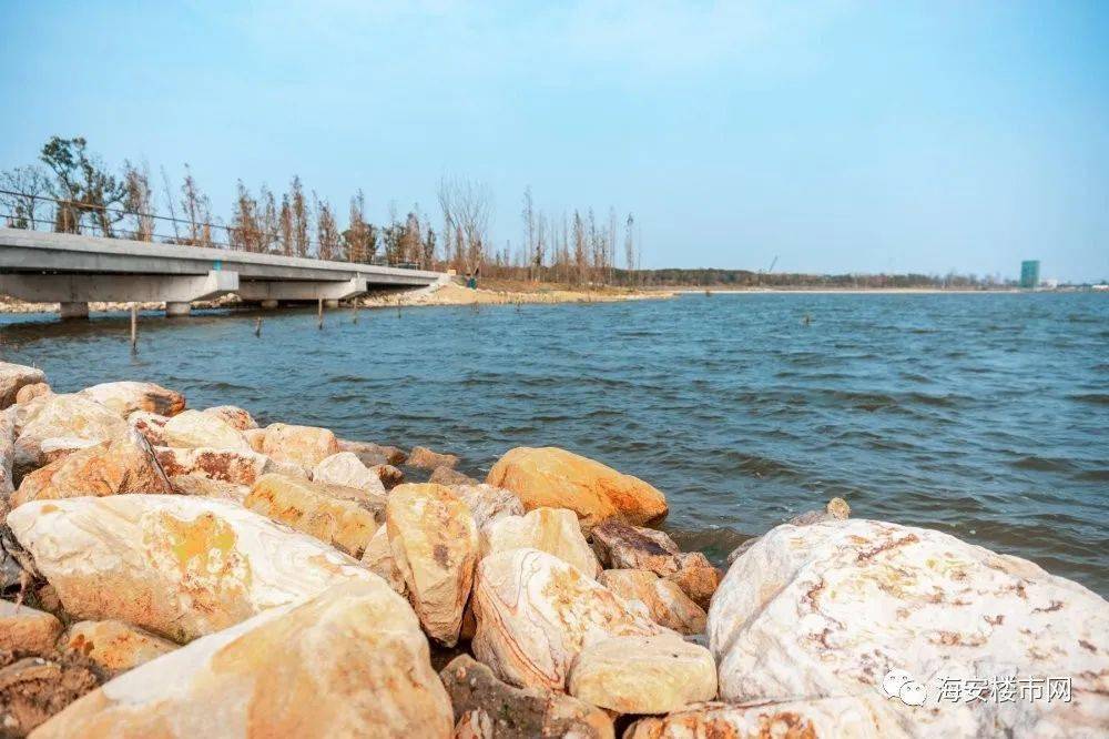 海安这个网红打卡景点将诞生_上湖