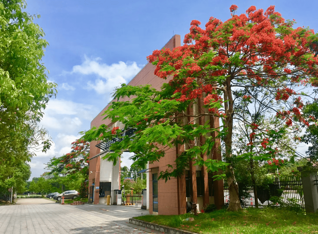 预告东莞七中明日将举行乐学教育品牌展示活动