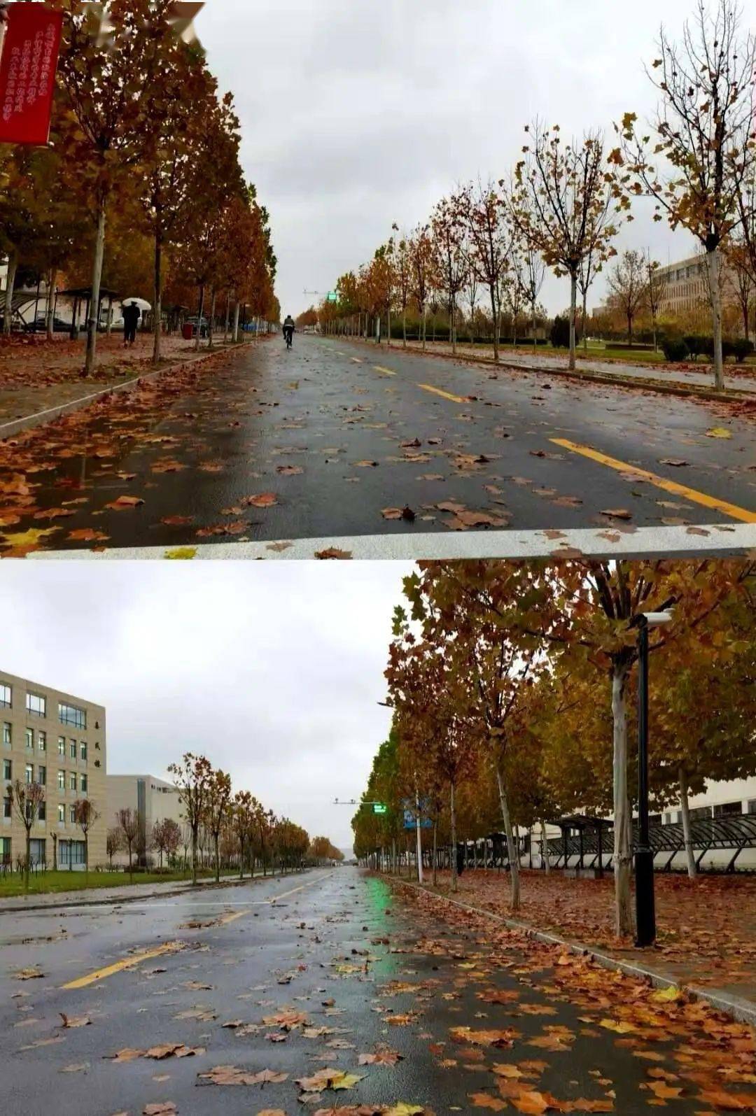 点点冬意归意正浓