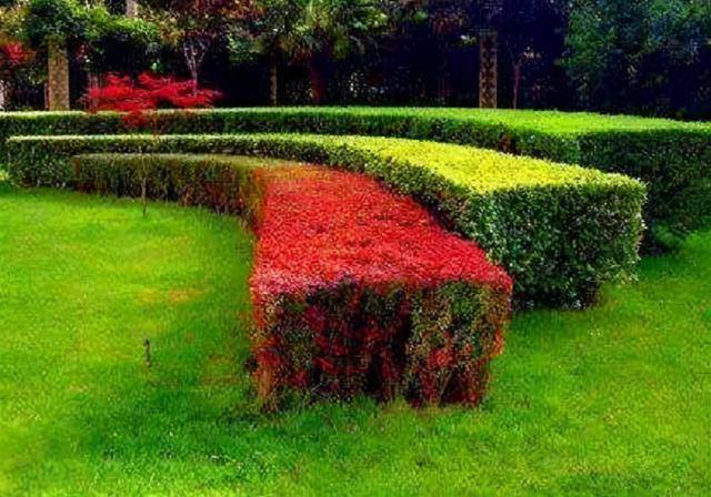 原创辣眼广西警方扫黄抓获3人2人被抓时正在公园绿化带中运动