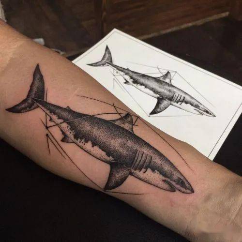 大白鲨纹身手稿图片
