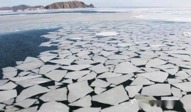 海洋科普(1273)| 海冰的两大家族——浮冰&固定冰_ice