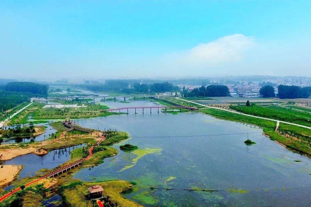 赣榆这个镇荣获乡村振兴成就奖,是你老家吗?