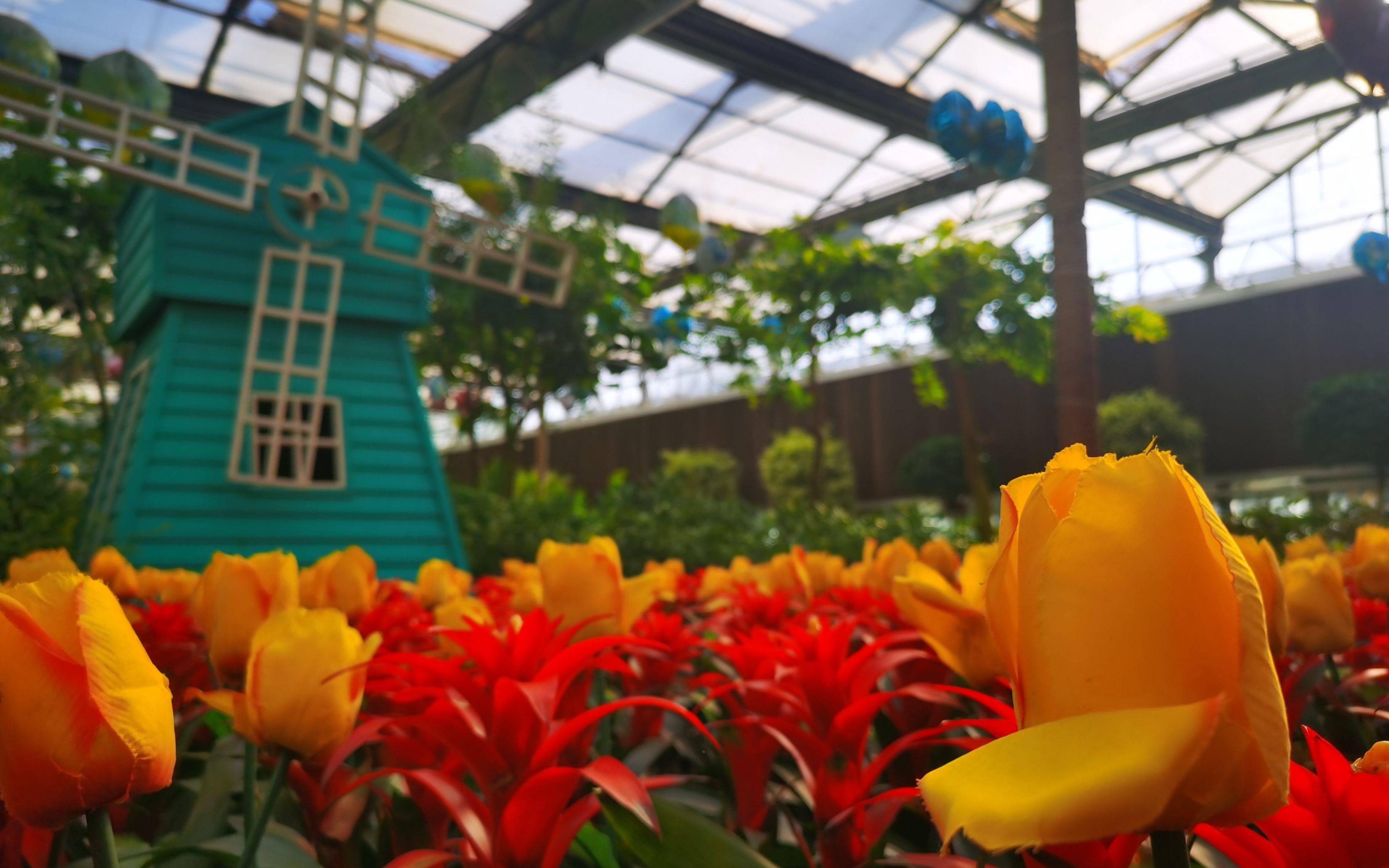 绿树环绕外,在南宫以生态,亲子活动为主题的五洲植物乐园里,所有场馆