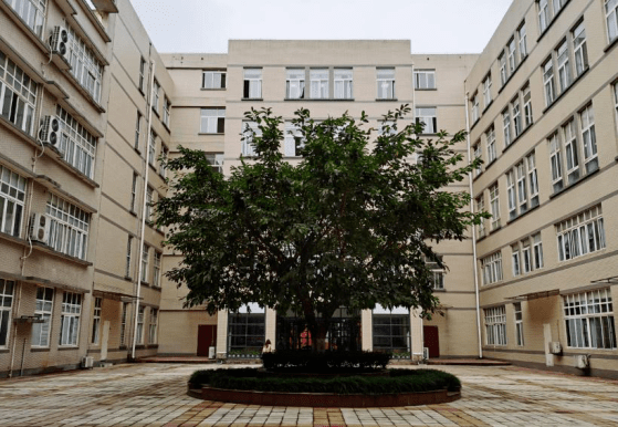 石瓦坡列文虎克大赛来猜这都是哪些校园角落