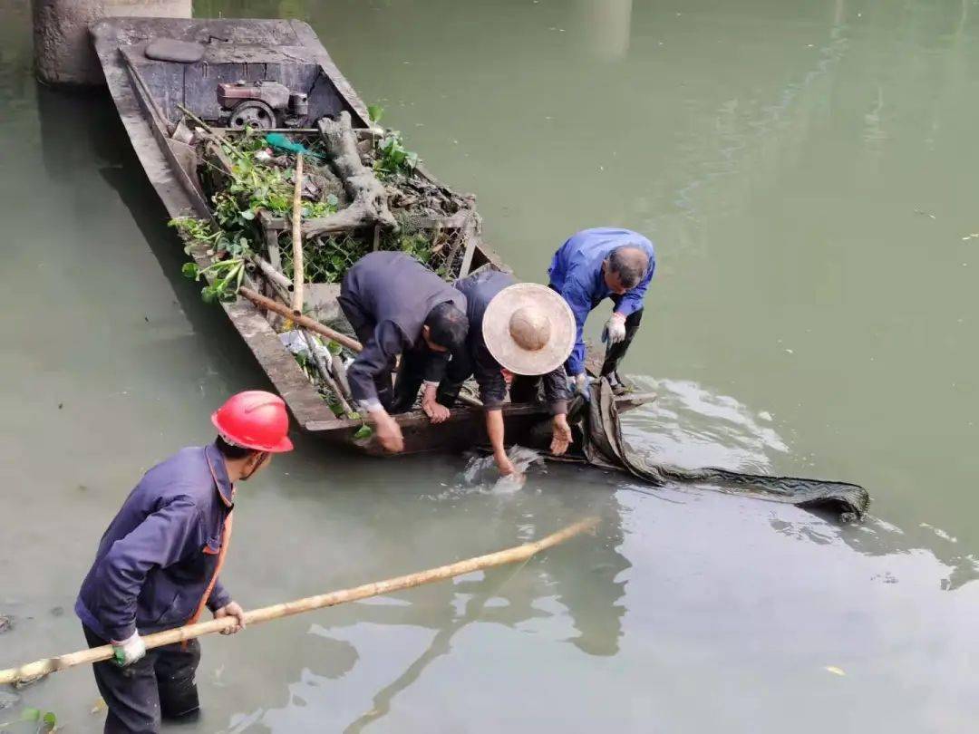 近期干旱少雨太平趁机清理河道垃圾