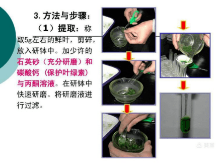 庆高教科研 || 知与行,功夫须著并到