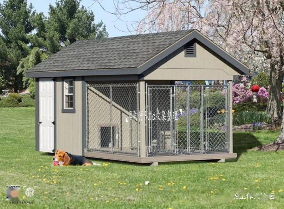 欧洲犬舍美图鉴赏