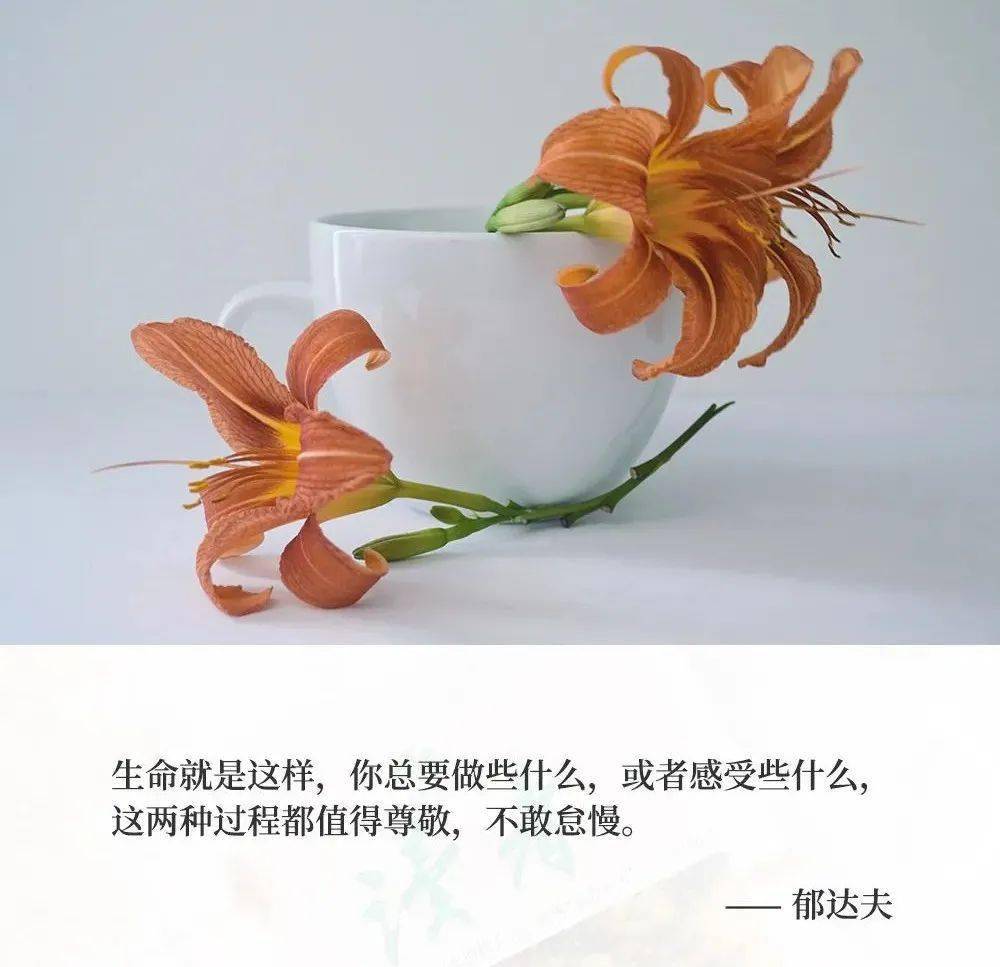 孤独是与生俱来的宿命,但经历过爱与恨,感受过乐与悲,心灵会更加饱满