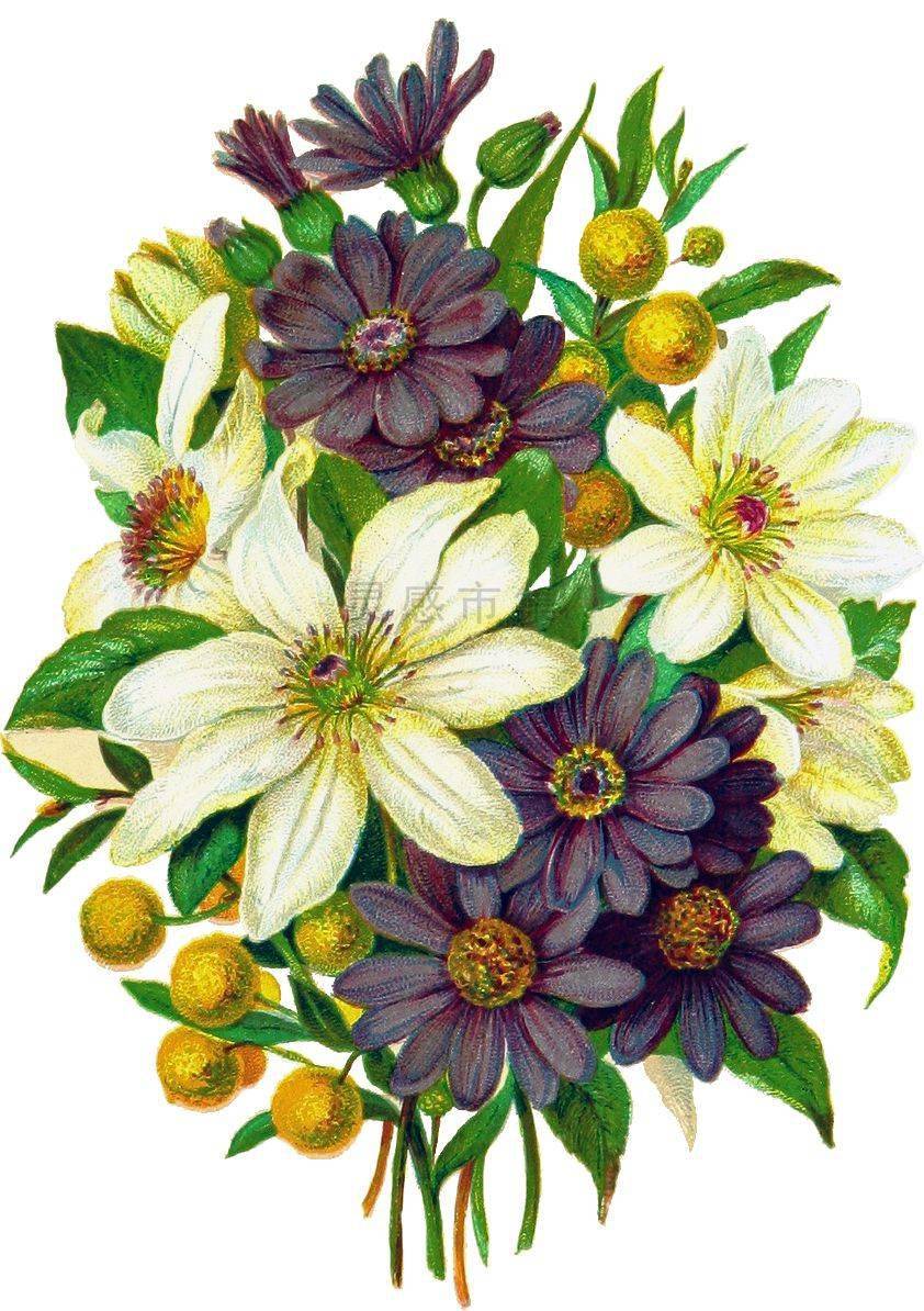 你要的拼贴风植物素材都在这里内附57组拼贴植物