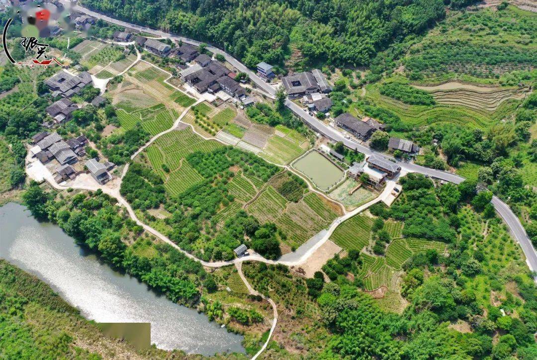 大美樟城原来是这么来的