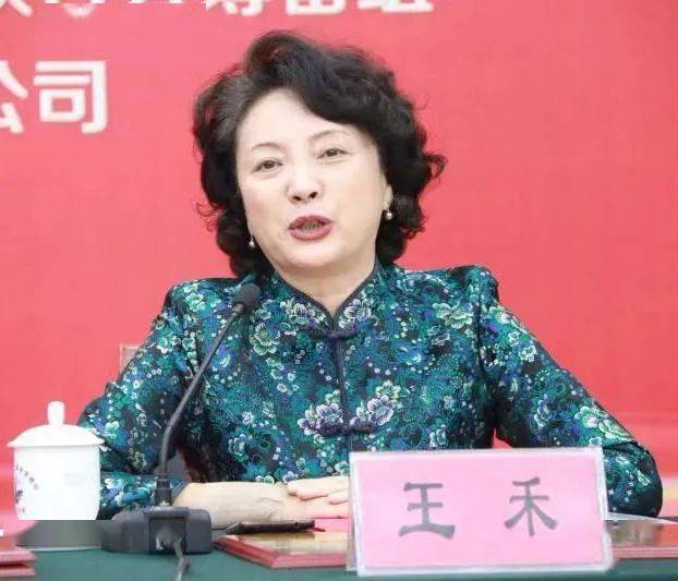 王禾副会长出席镇江市对外投资和经济合作联合会成立大会