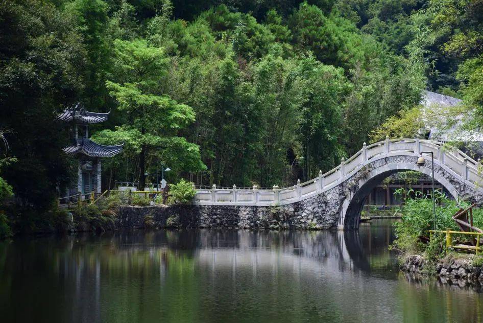 动手制作竹筒饭67徜徉竹海幽林船游绥江河这个竹筒饭文化节要来啦