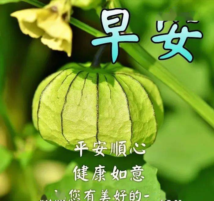 11月28日祝福同學們早上好問候語冬季溫馨的早安祝福帶表情圖片大全