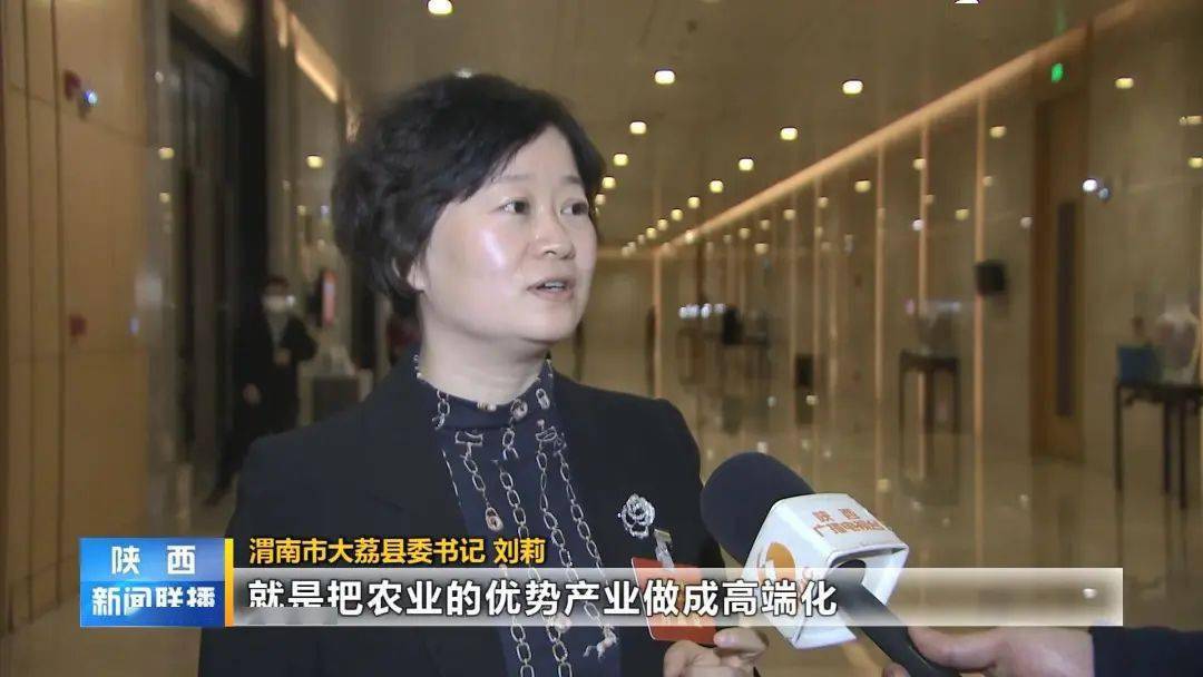 渭南市大荔县委书记 刘莉