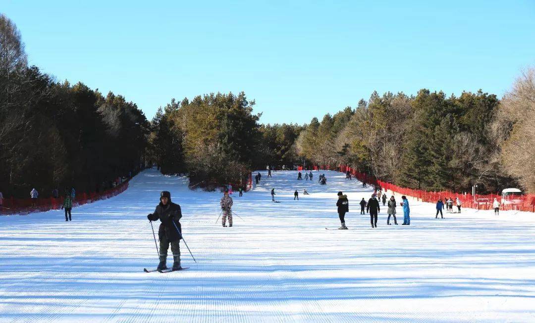 净月潭全面开放净月潭滑雪场正式营业