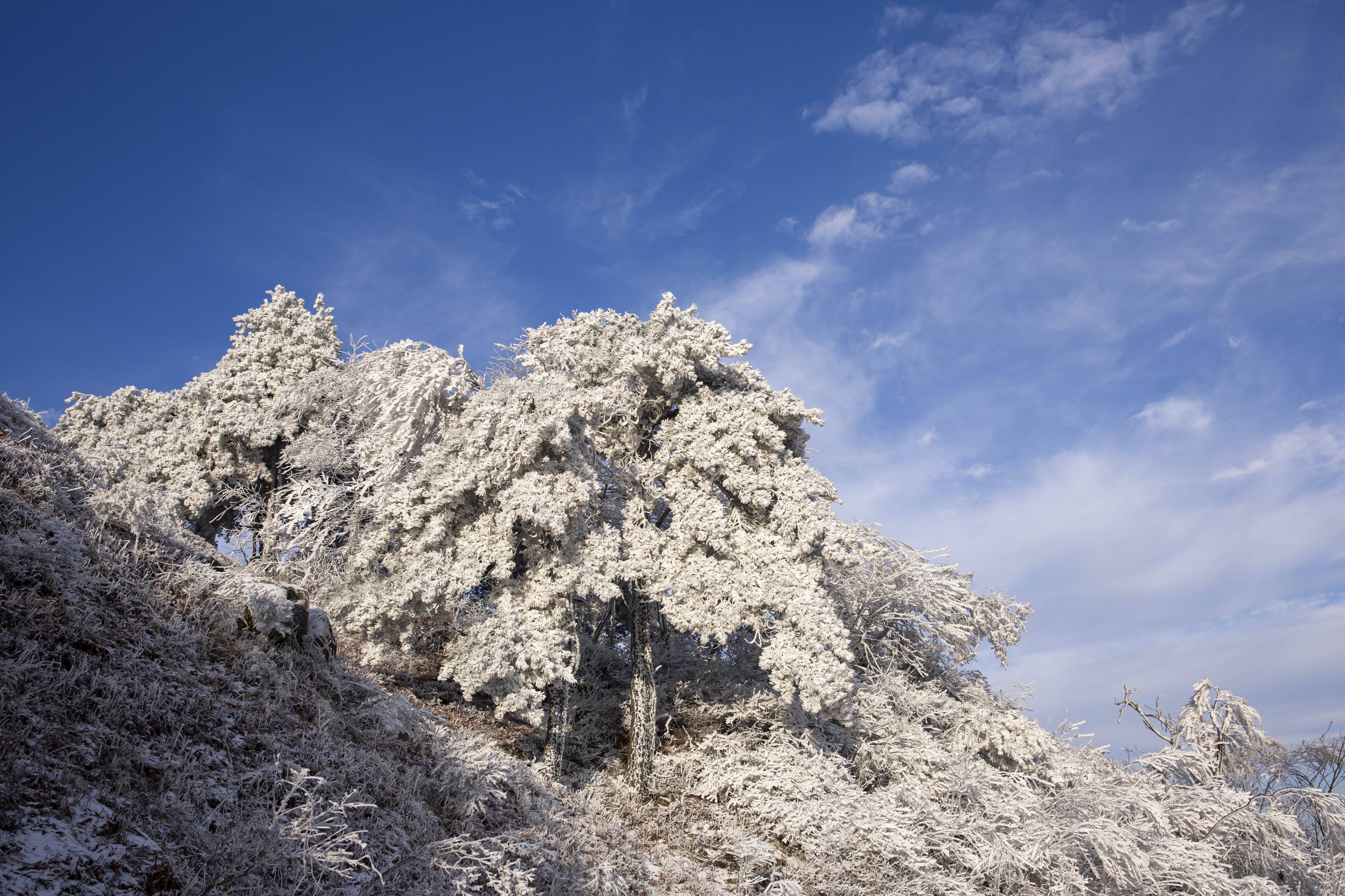 安徽农村雪景图片