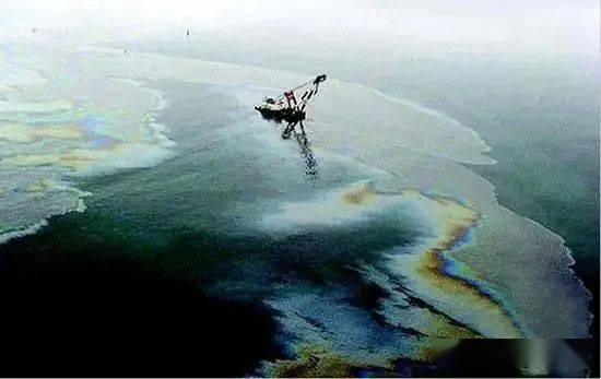 海洋沙漠化效应