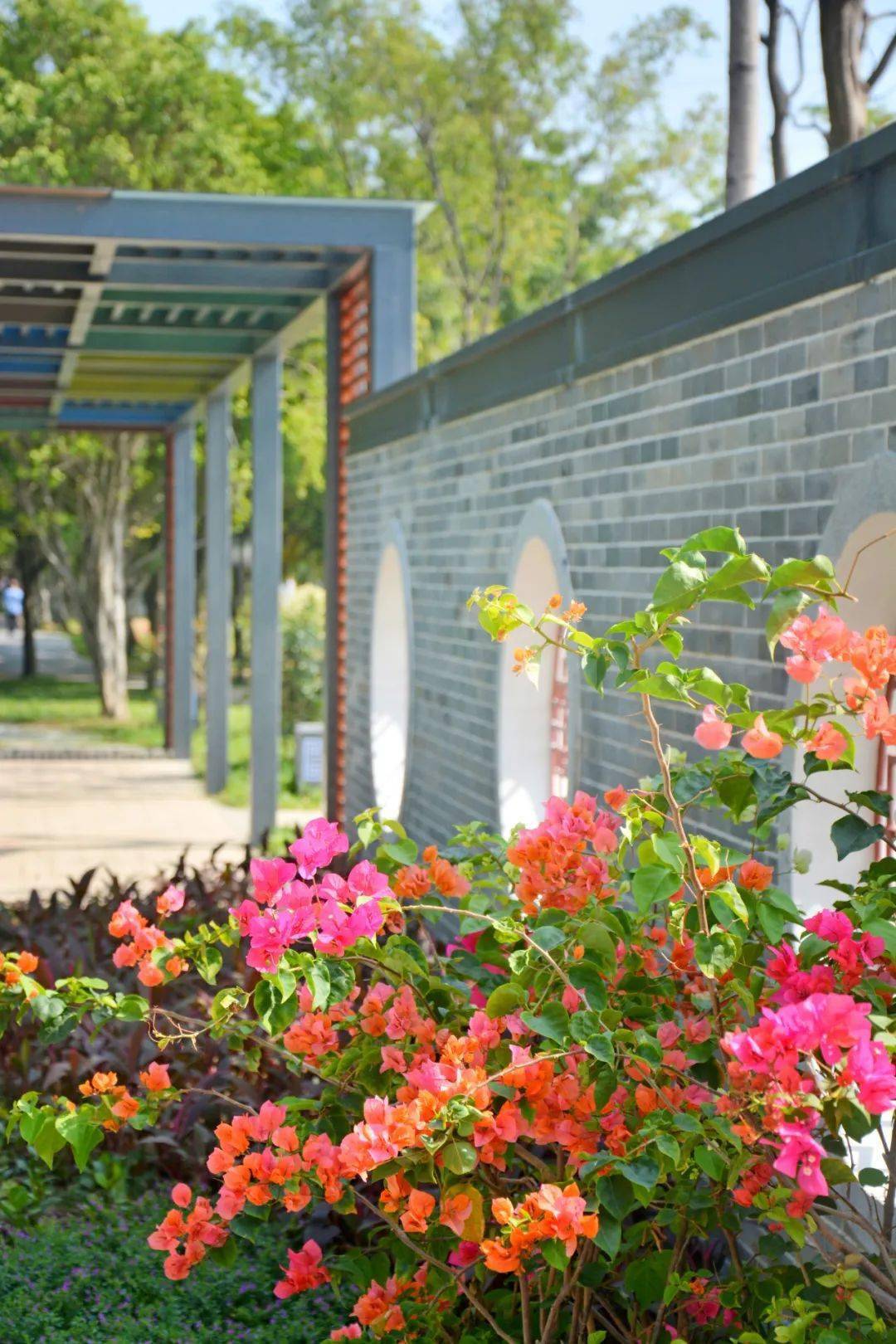 顺峰山公园两大古风打卡点上线,带你步入诗意画卷!_景观