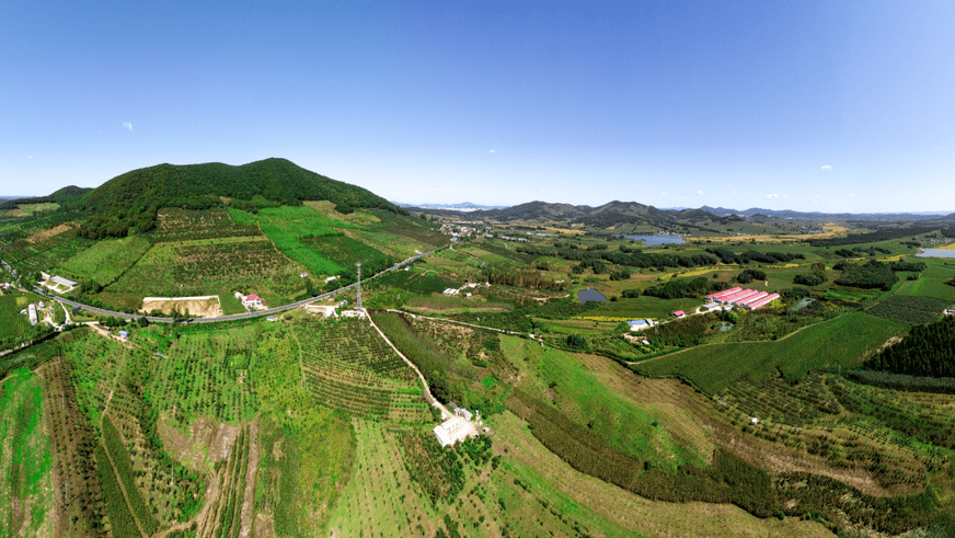 一村一品宝山乡北锅盔村金红苹果地醉美宝山香