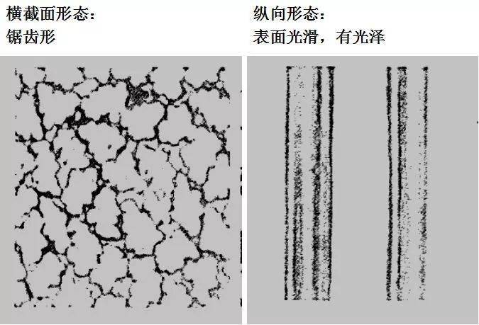 常见纺织纤维在显微镜下的形态