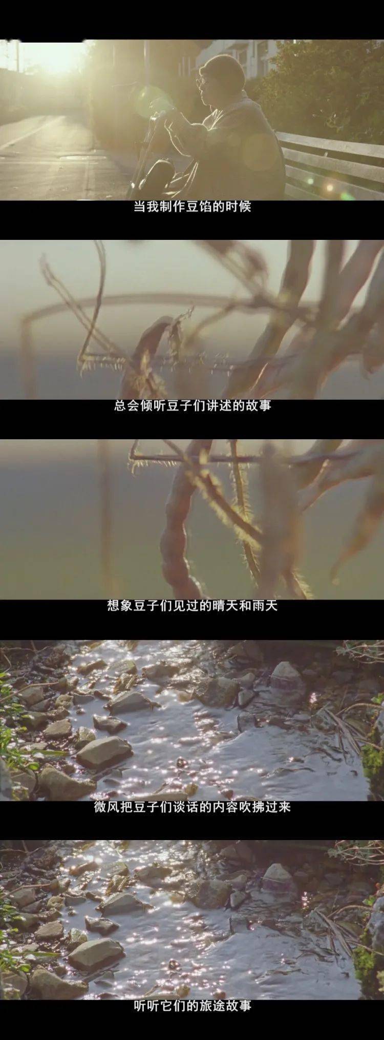 周二艺术影院澄沙之味