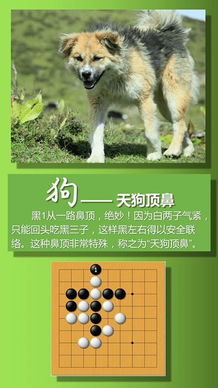 送给棋娃的礼物——十二生肖与围棋【美图版】
