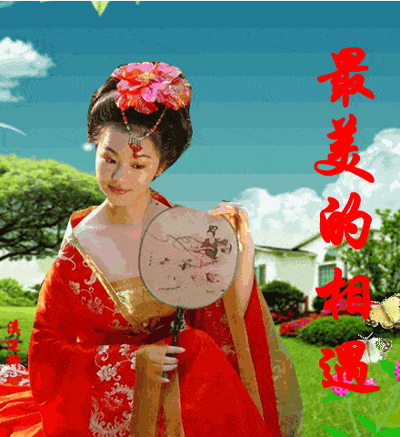 440_480gif 动态图 动图