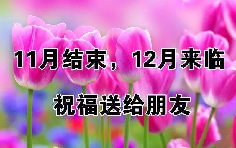 11月最后一天,为12月开一个好头!_祝福