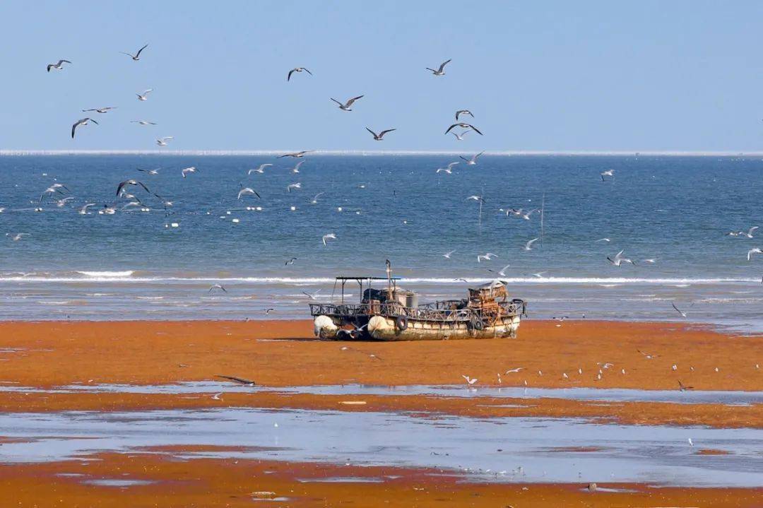 海州湾 连云港的四季  可以美的各不相同 还不快来打卡