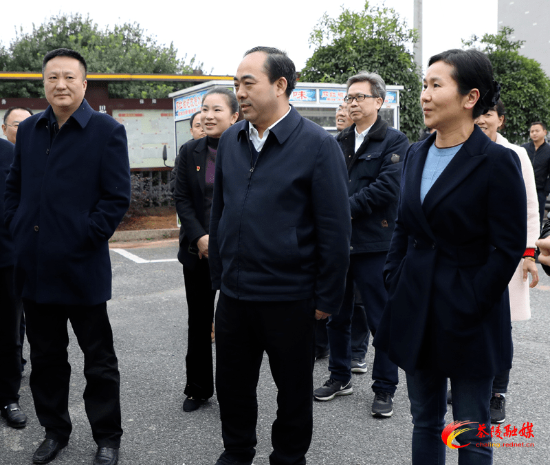 阳卫国来茶调研农村乱占耕地建房整治工作