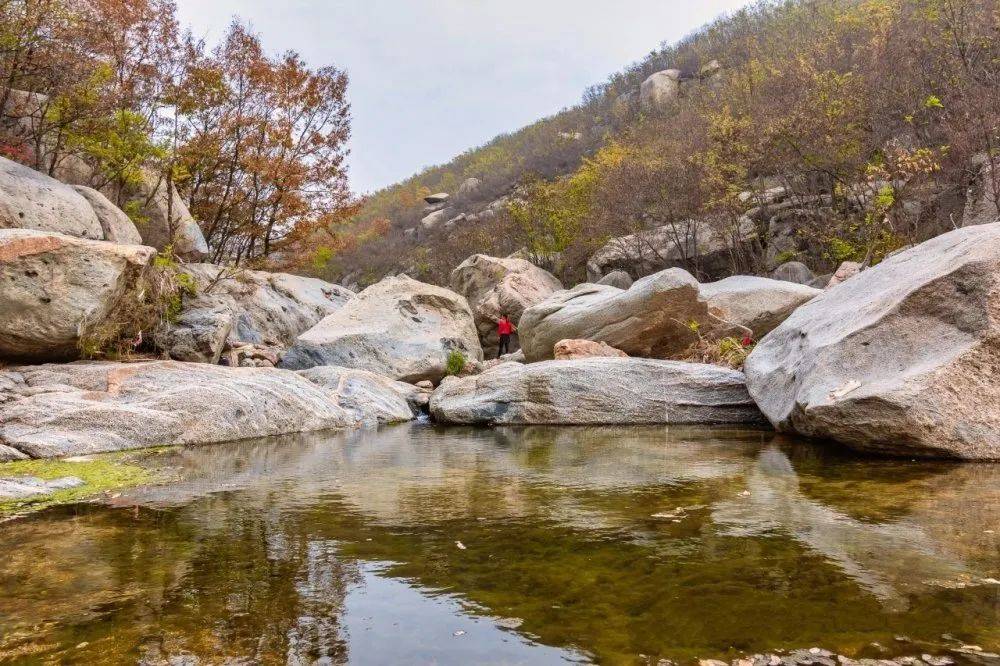 旅游信息丨沂水沙沟镇乡村旅游发展有了新突破
