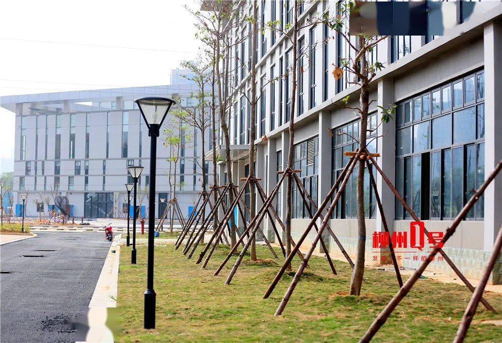 柳北手机网站建设_(柳北新区最新规划图)