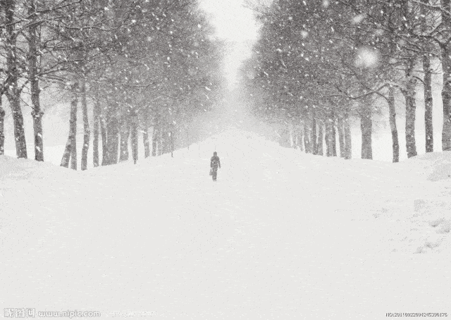 笨拙的羽绒服下,我默念着家的距离,头上不知是汗水,泪水,还是雪水