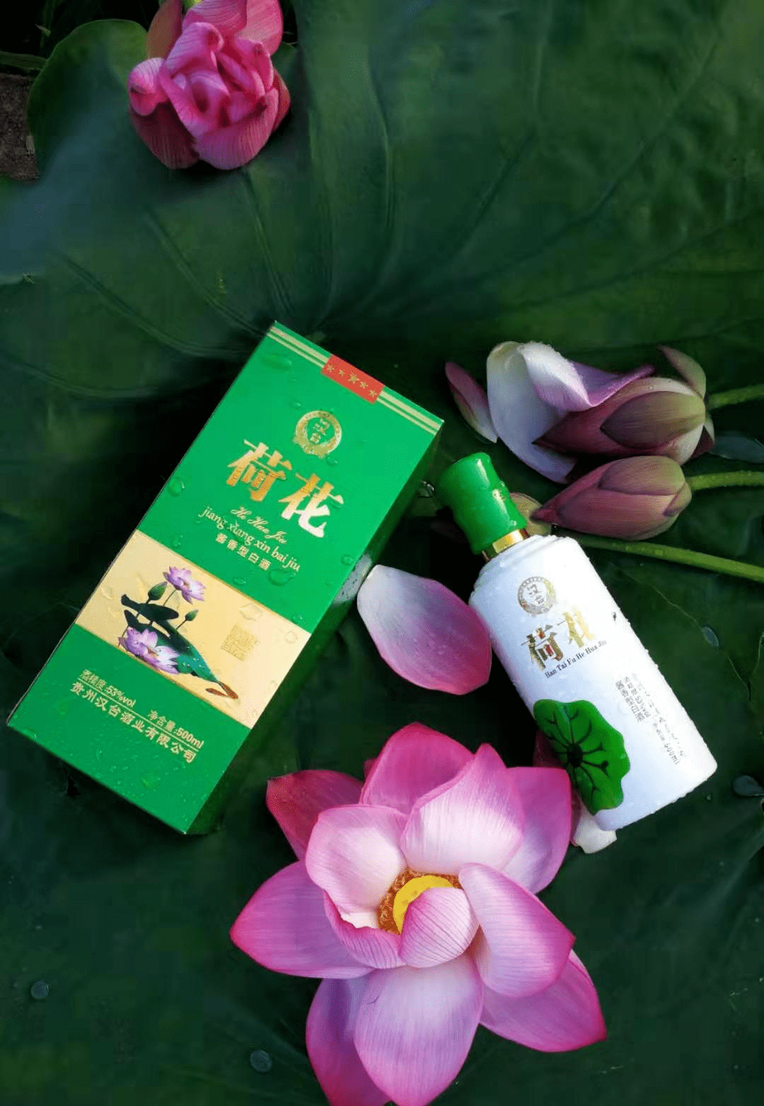 汉台荷花,中档商务接待用酱酒,品汉台荷花 知交满天下.