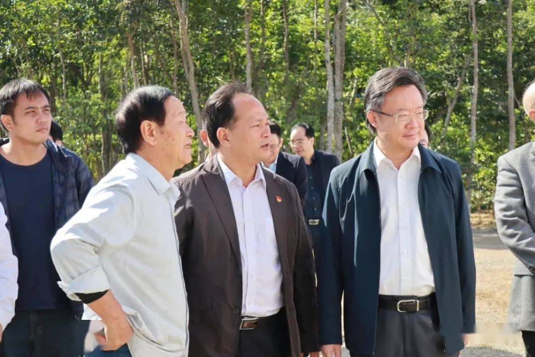 市区镇三级领导齐关注电白沙琅这条村因为沉香成团宠