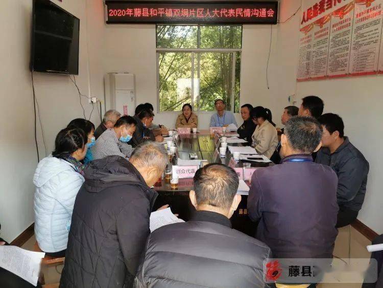 秦燕到和平镇开展人大代表进站履职等活动